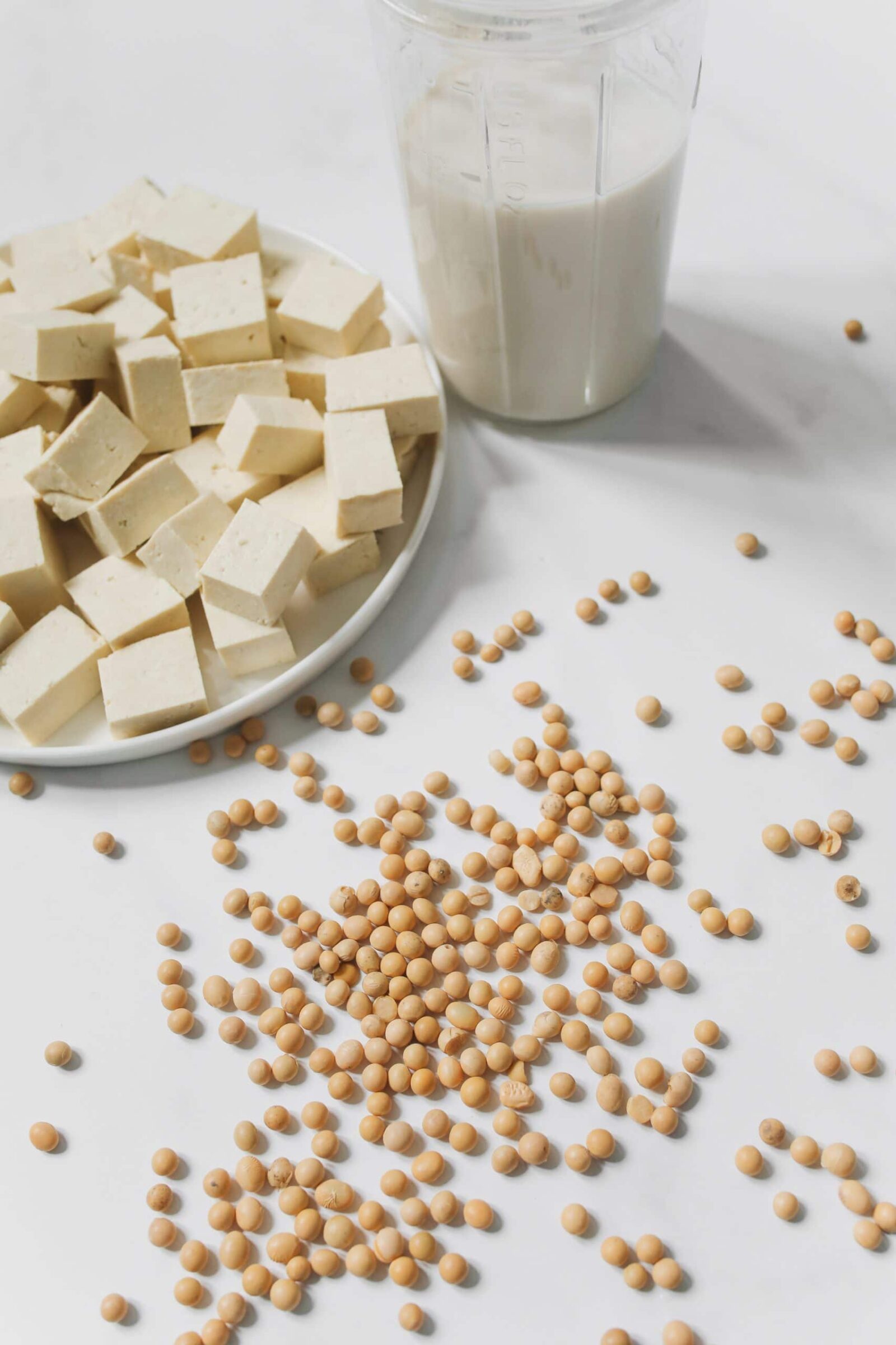 Tofu, ziarna soi i mleko sojowe — źródła białka roślinnego